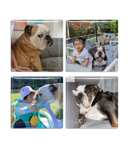 Square Photo Magnet Sets