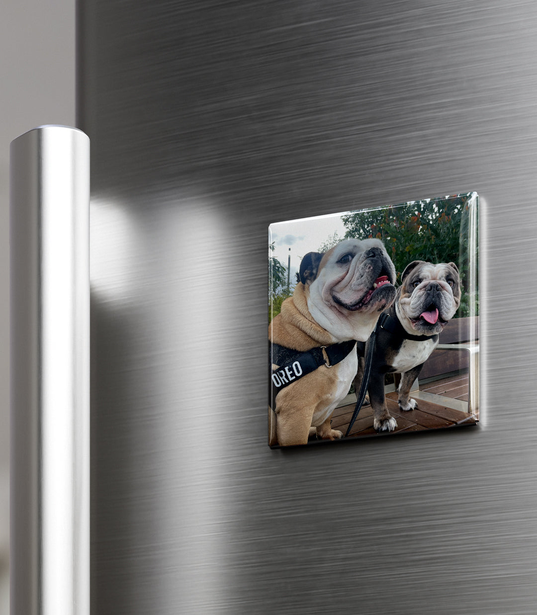 Square Photo Magnet Sets